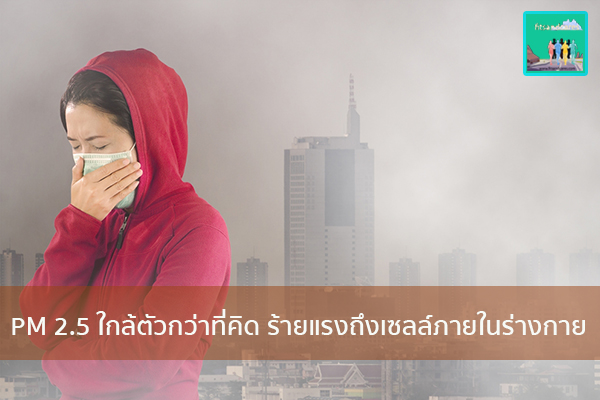 PM 2.5 ใกล้ตัวกว่าที่คิด ร้ายแรงถึงเซลล์ภายในร่างกาย วิธีลดน้ำหนัก อาหารลดน้ำหนัก ปวดหัว