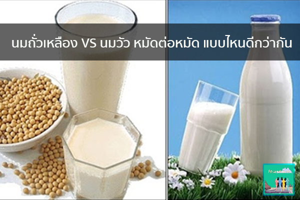 นมถั่วเหลือง VS นมวัว หมัดต่อหมัด แบบไหนดีกว่ากัน วิธีลดน้ำหนัก อาหารลดน้ำหนัก ปวดหัว