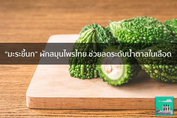 “มะระขี้นก” ผักสมุนไพรไทย ช่วยลดระดับน้ำตาลในเลือด วิธีลดน้ำหนัก อาหารลดน้ำหนัก ปวดหัว